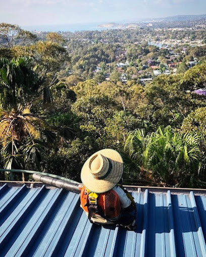 Sydney Gutter Clean
