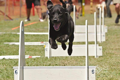Photo of Ballarat Dog Obedience