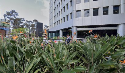 Photo of TSS Immigration