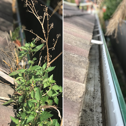 Photo of Action Gutter Cleaning Sydney