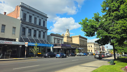 Ironbark Barbery