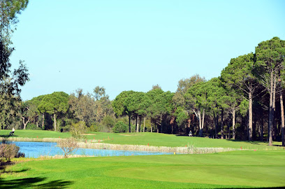 Photo of Midlands Golf Club
