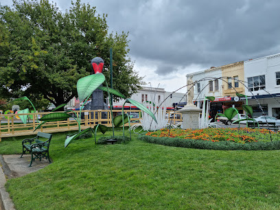 Sturt Street Gardens