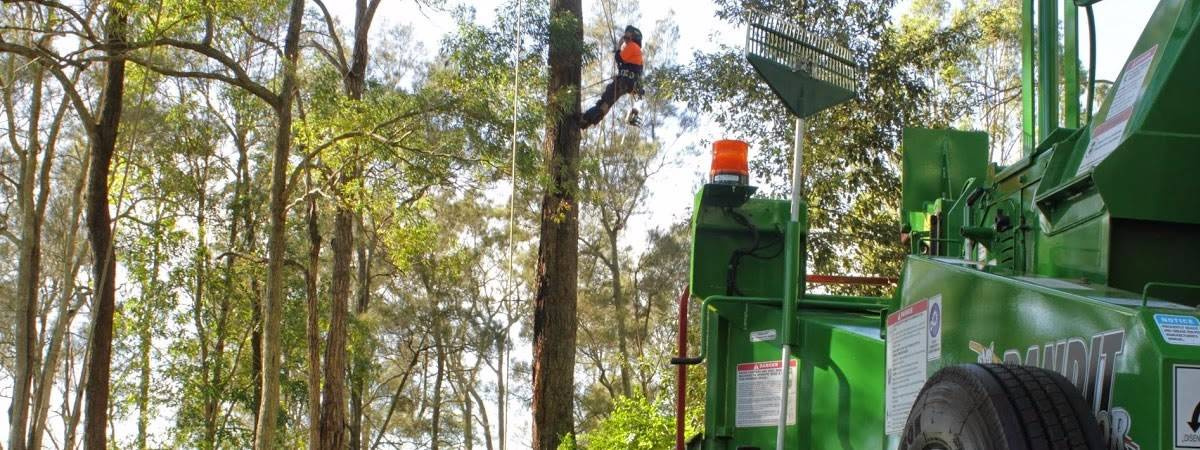 Photo of Cutting Edge Tree Maintenance
