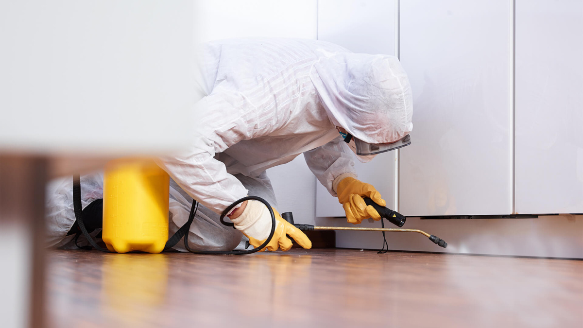 Photo of Pest Alert Pest Control Services