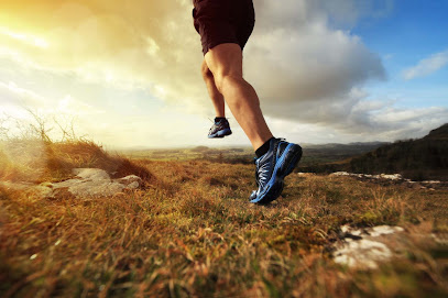 Photo of Muscle Therapy Australia