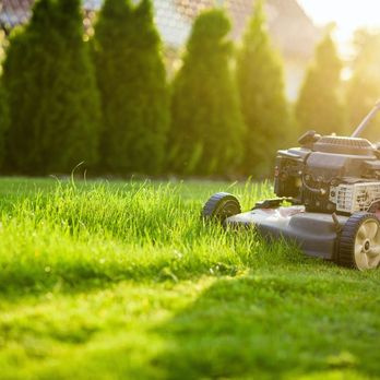 Photo of GreenGo Garden Service