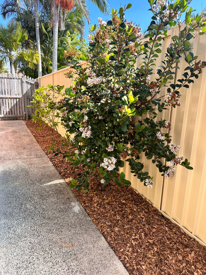 Photo of Brothers Gardenscape
