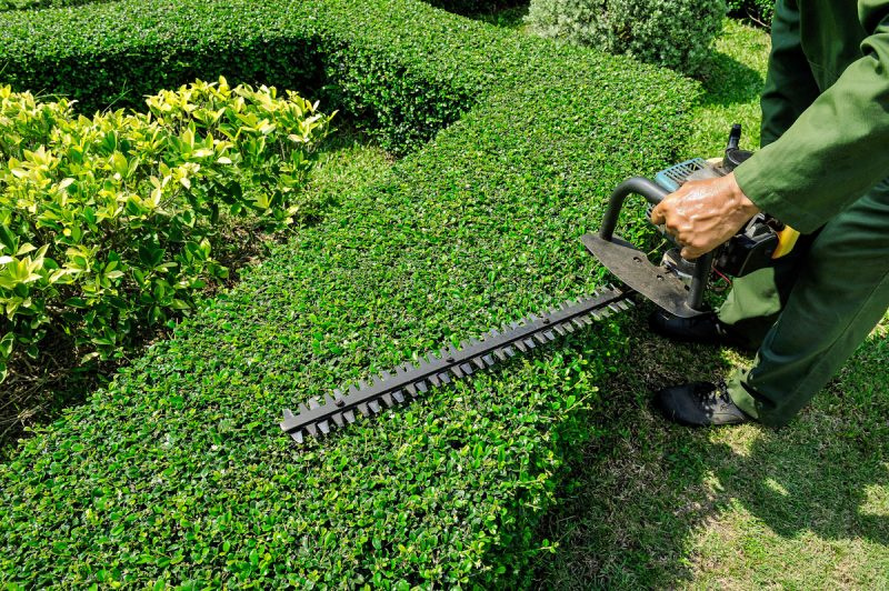 Photo of Brothers Gardenscape