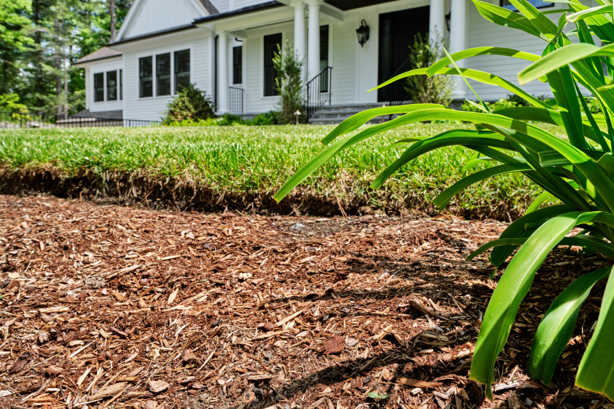 Photo of AJ Quality Arborists