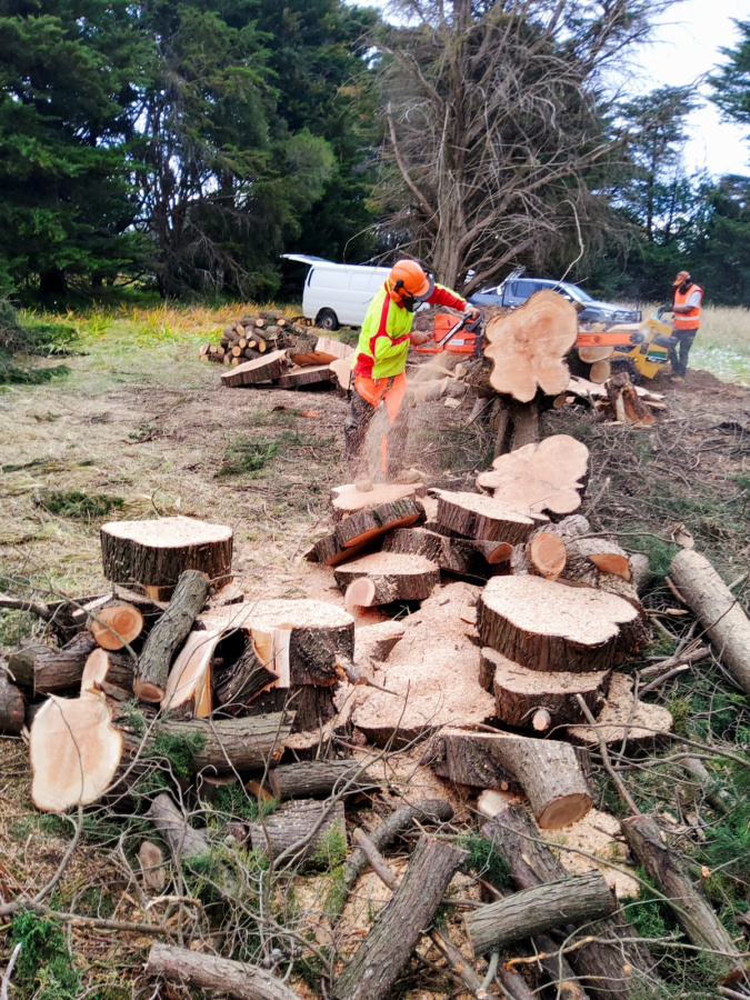 Photo of AJ Quality Arborists