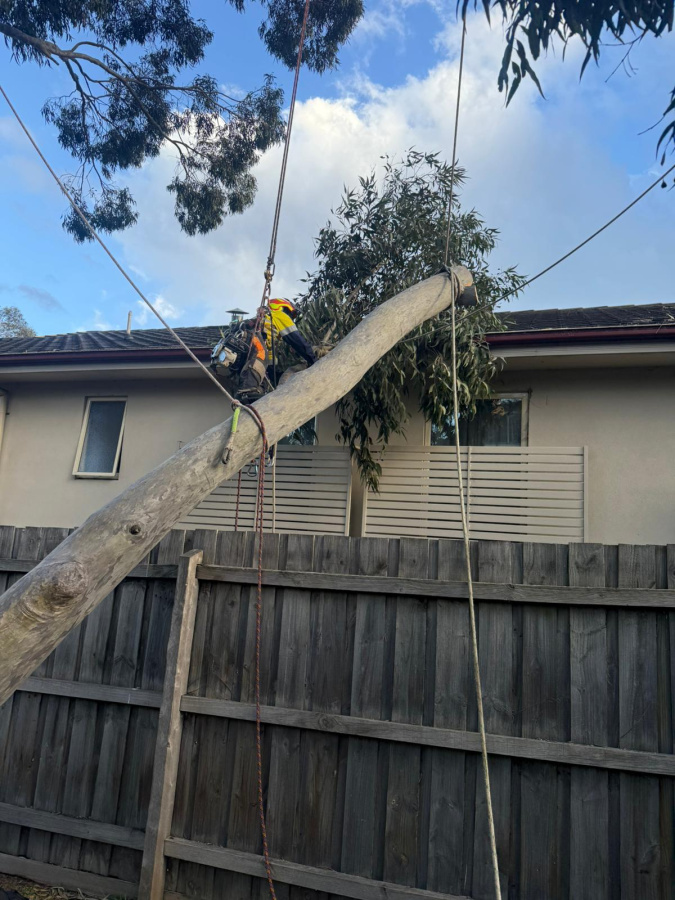 Photo of Tree Trotters Victoria Pty Ltd